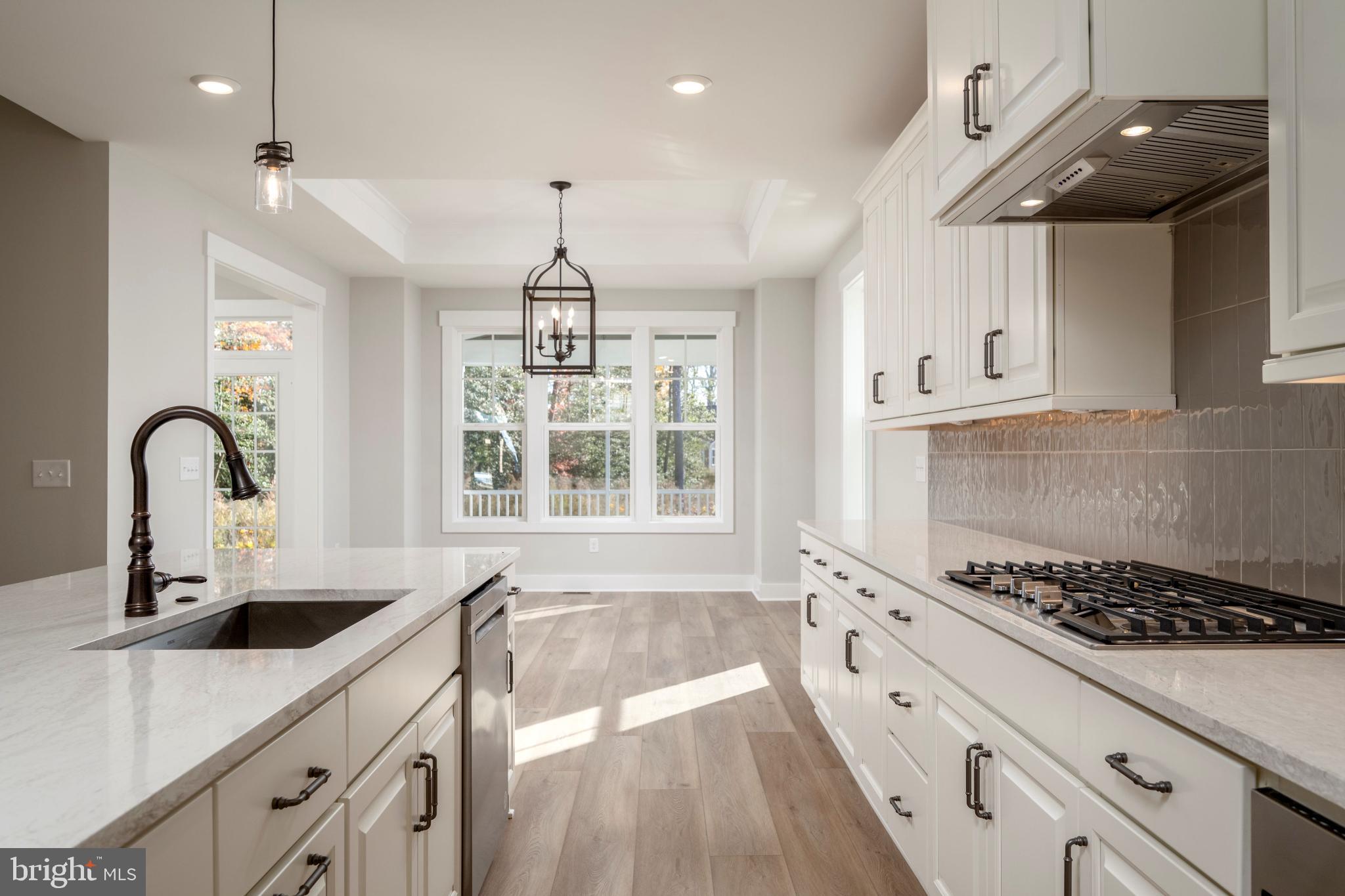 32177 Solara Way Lewes, DE 19958 - Photo 13 of 14 Bright and airy modern kitchen space.