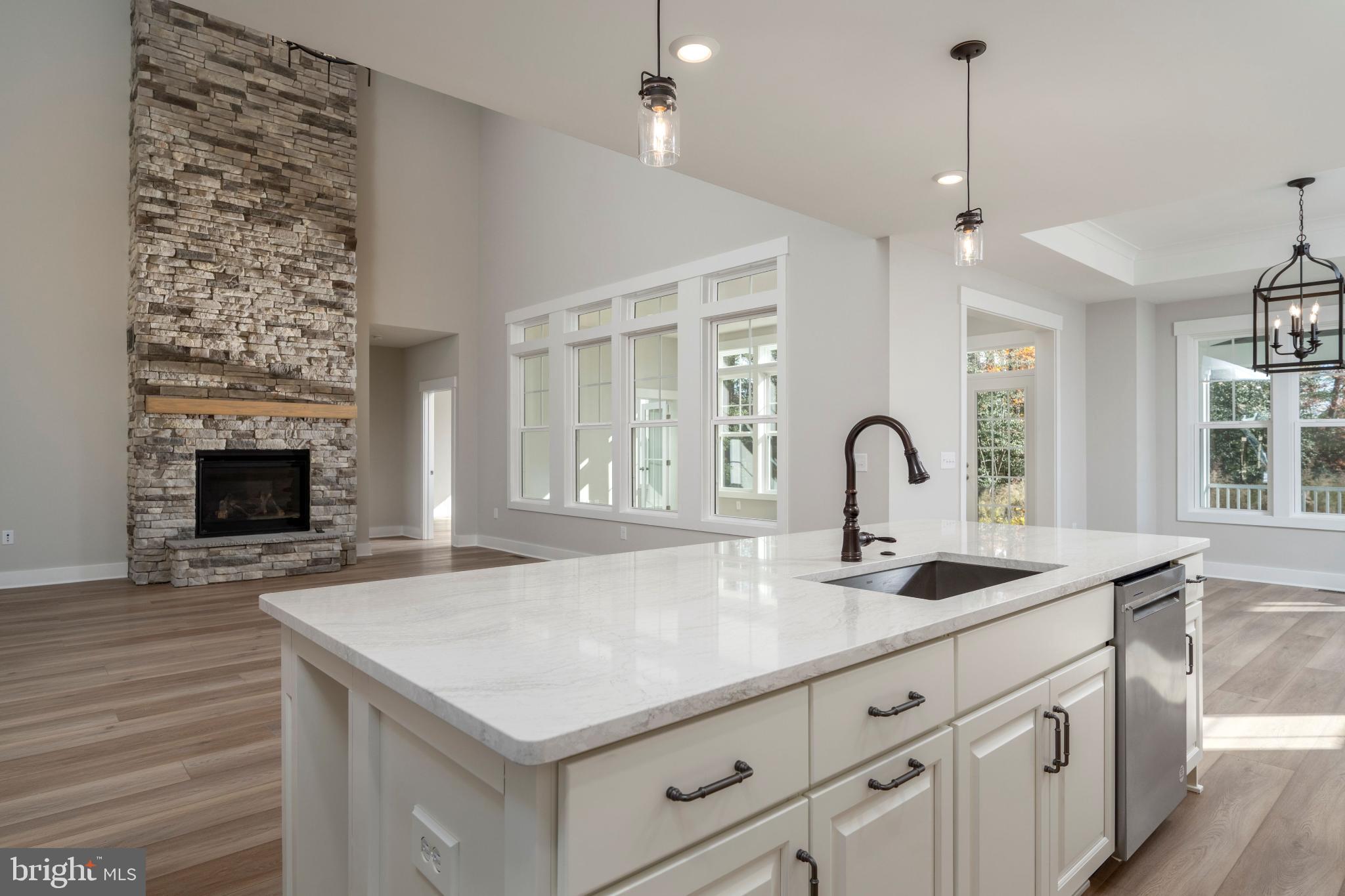 32177 Solara Way Lewes, DE 19958 - Photo 14 of 14 Modern elegance with a cozy fireplace.