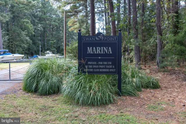 a view of a street sign under a large tree