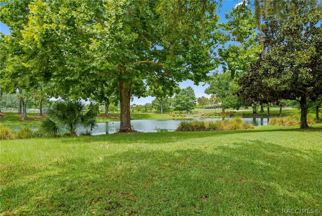 1672 West Spring Meadow Loop Lecanto, FL 34461 - Photo 39 of 42