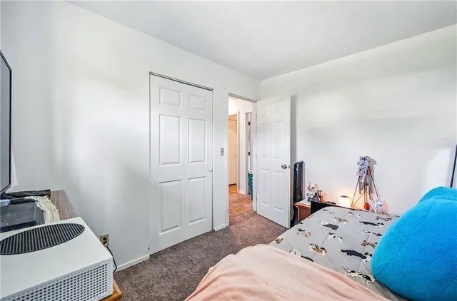 a bedroom with a bed and a closet