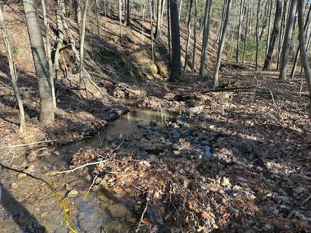 0 Hoot Owl Road New Castle, VA 24127 - Photo 5 of 6 00 Hoot Owl 5