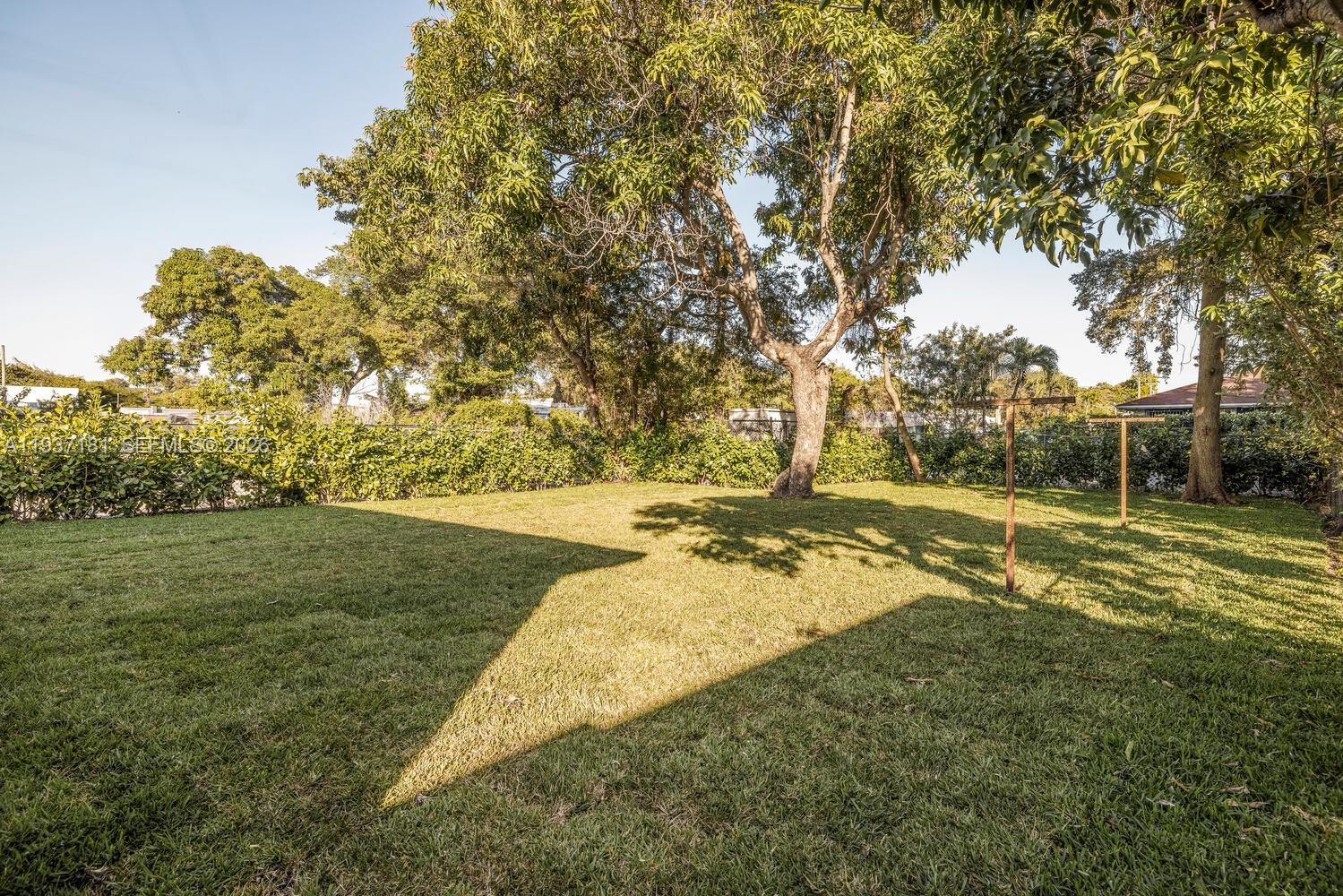 424 Northwest 53rd Street Miami, FL 33127 - Photo 19 of 20 a view of a yard with trees