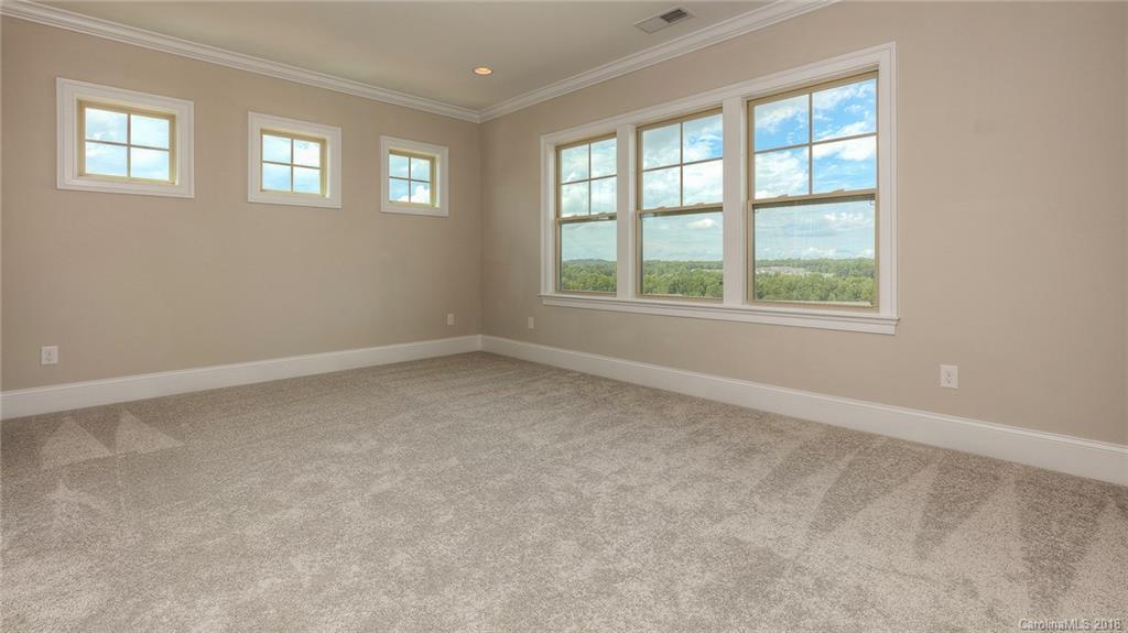 653 Zinnia Way, Unit 748 Tega Cay, SC 29708 - Photo 22 of 36 Gallery Image 22
