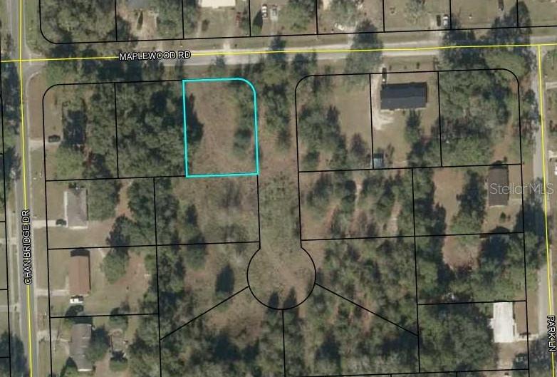 Maple Wood Road Jasper, FL 32052 - Photo 1 of 1