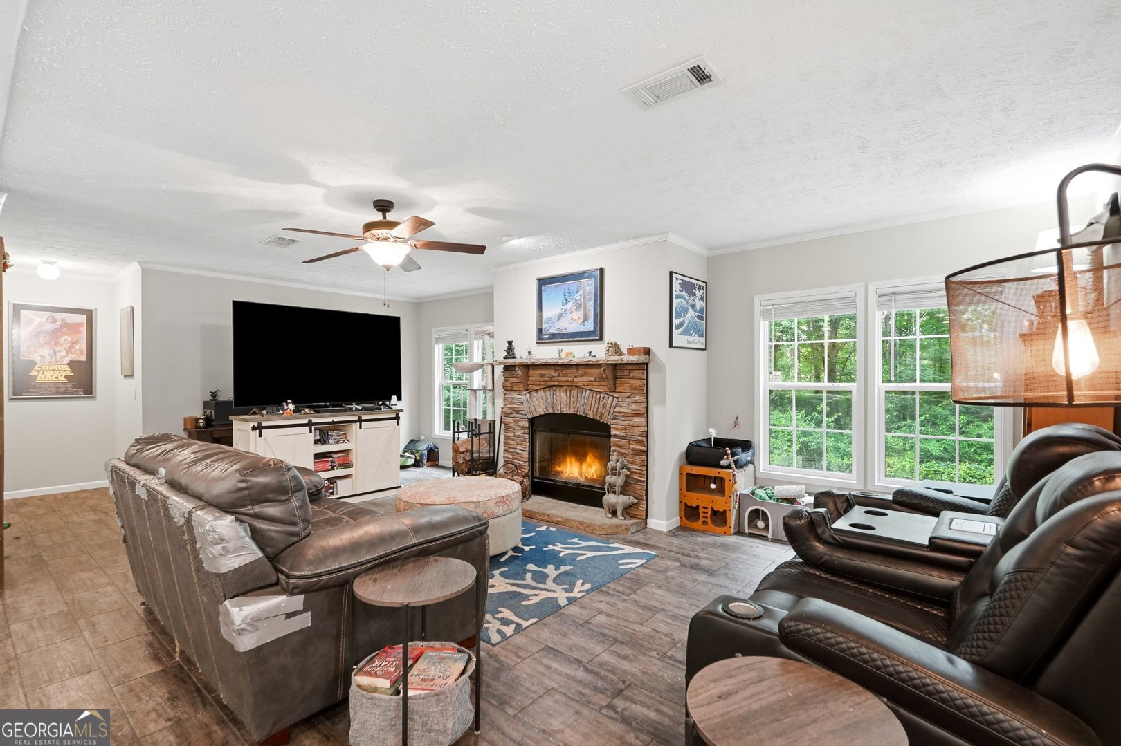 482 White Road Alto, GA 30510 - Photo 6 of 28