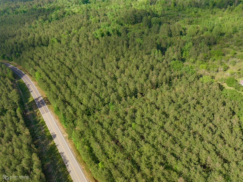 14303 Highway 157 Benton, LA 71006 - Photo 4 of 5 a view of a forest with a tree