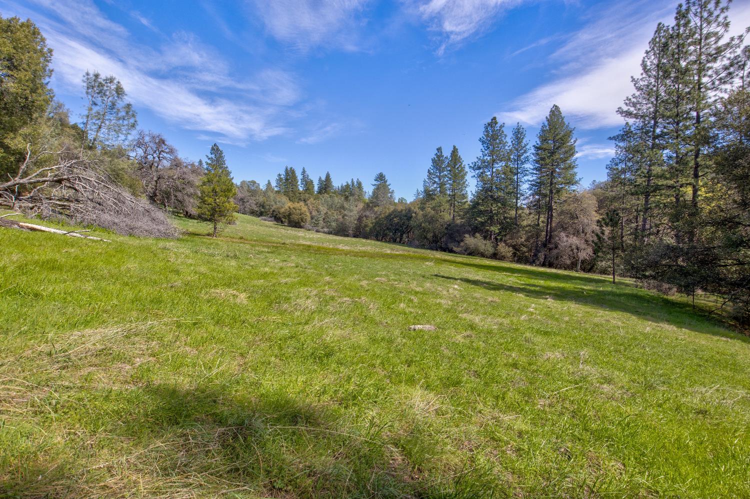 18800 Charleston Road Volcano, CA 95689 - Photo 11 of 47 Gallery Image 11