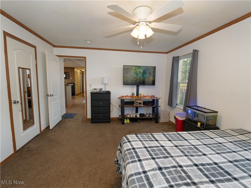 4391 Sandy Lake Road Ravenna, OH 44266 - Photo 12 of 30 Bedroom with crown molding, dark carpet, and ceiling fan