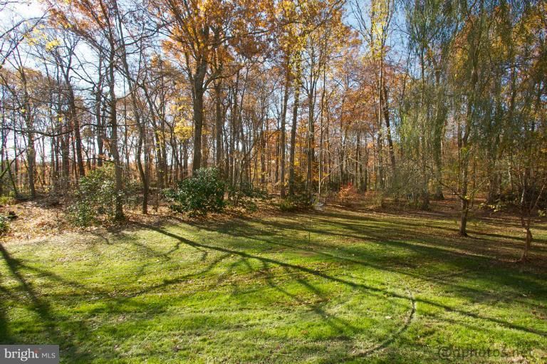 239 Red Toad Road North East, MD 21901 - Photo 13 of 23 View