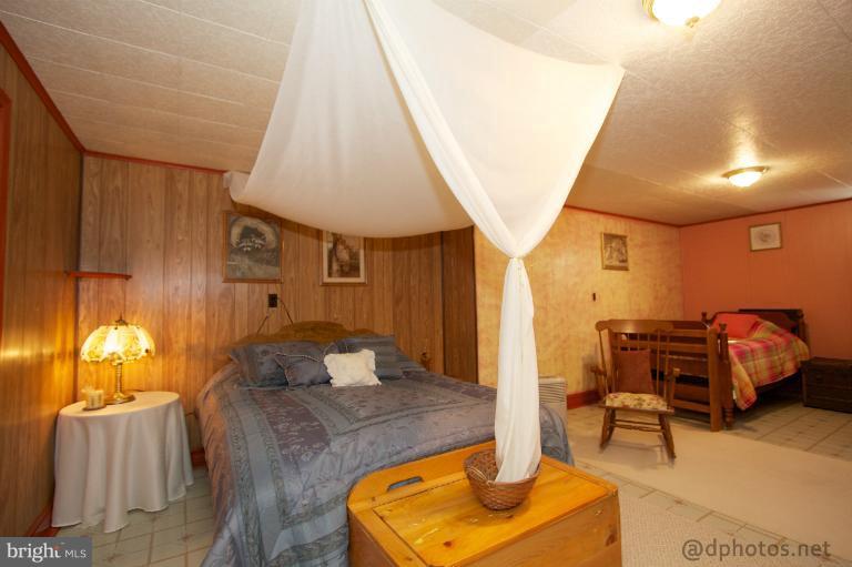 239 Red Toad Road North East, MD 21901 - Photo 18 of 23 Basement
