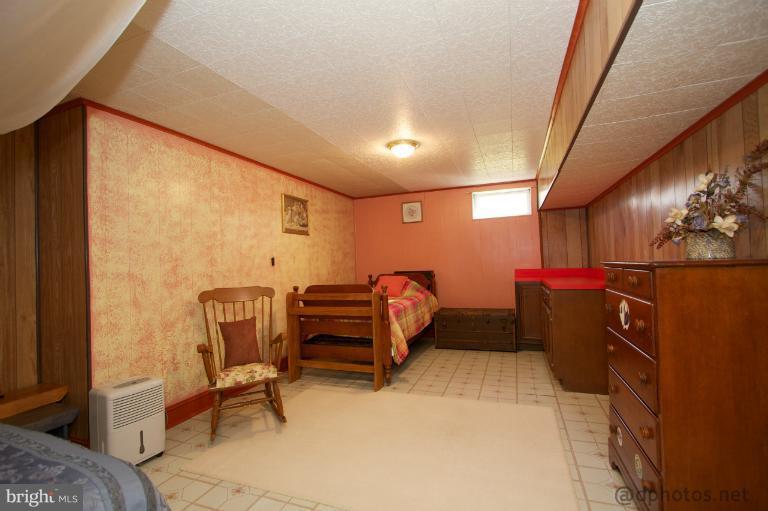 239 Red Toad Road North East, MD 21901 - Photo 21 of 23 Basement