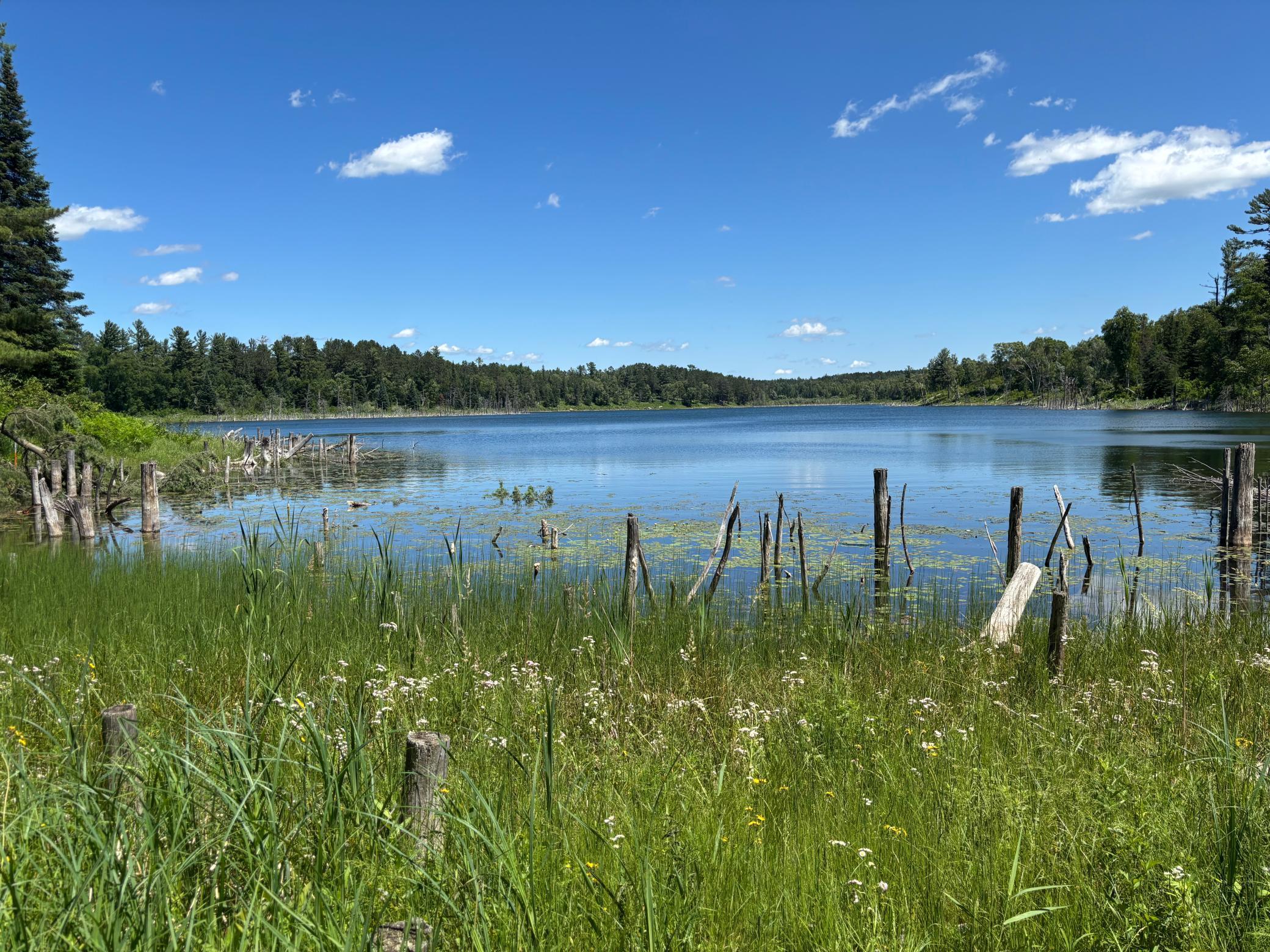 13102 Seaberg Lane Bagley, MN 56621 - Photo 1 of 1