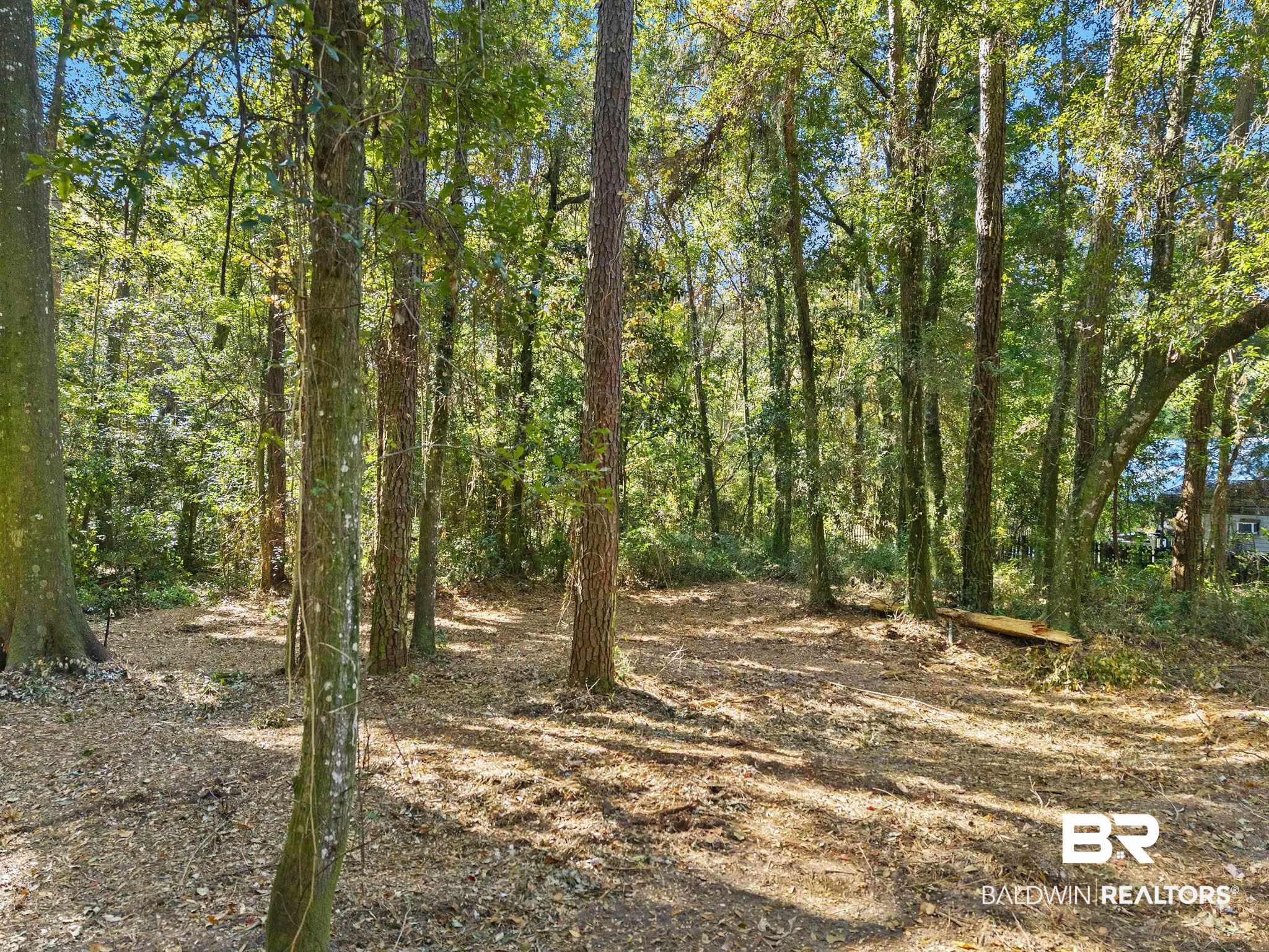 0 Wharf Street Daphne, AL 36526 - Photo 7 of 21