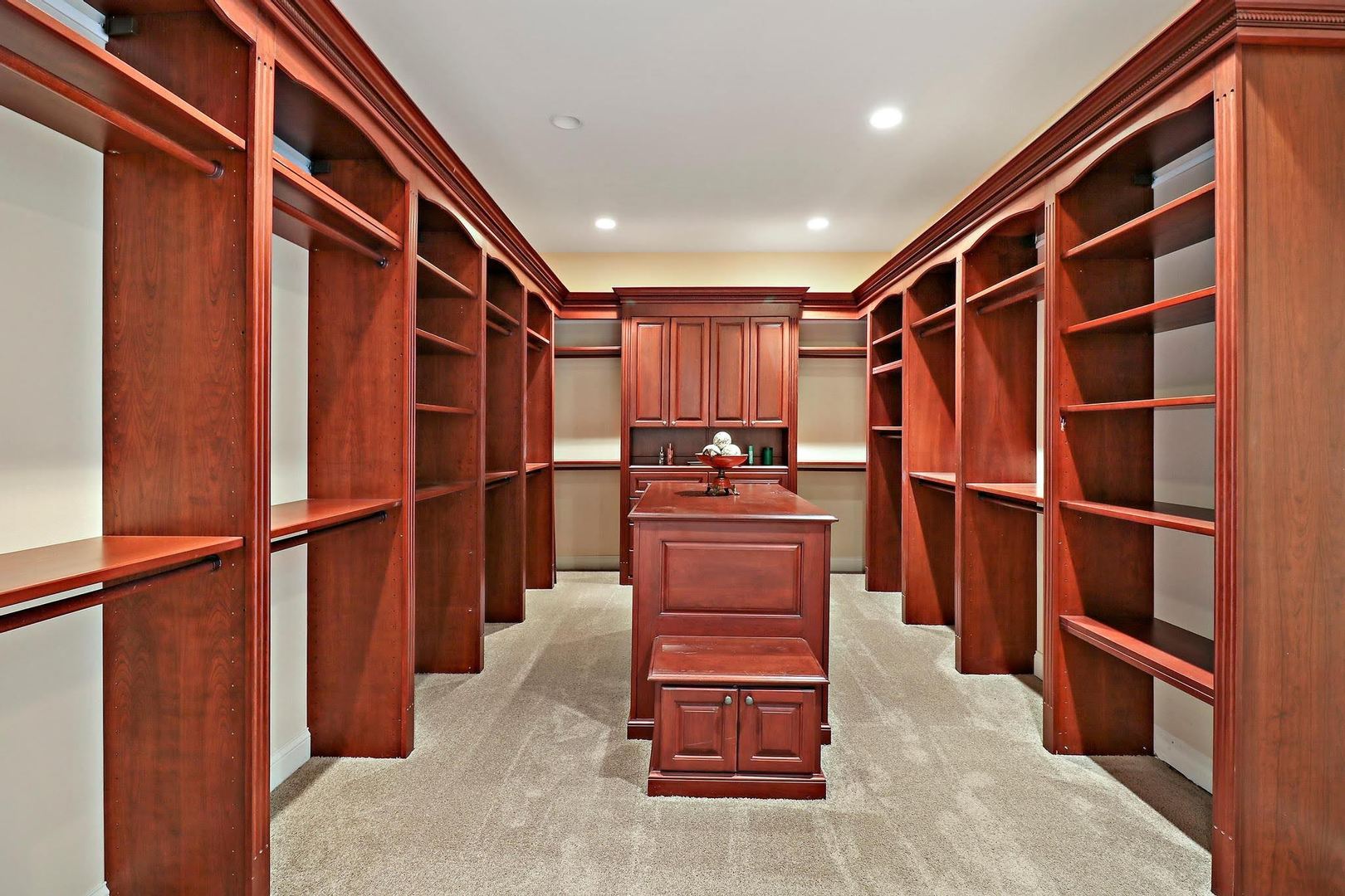 1004 Pistakee View Drive Johnsburg, IL 60051 - Photo 26 of 74 a view of walk in closet with clothes and shoes