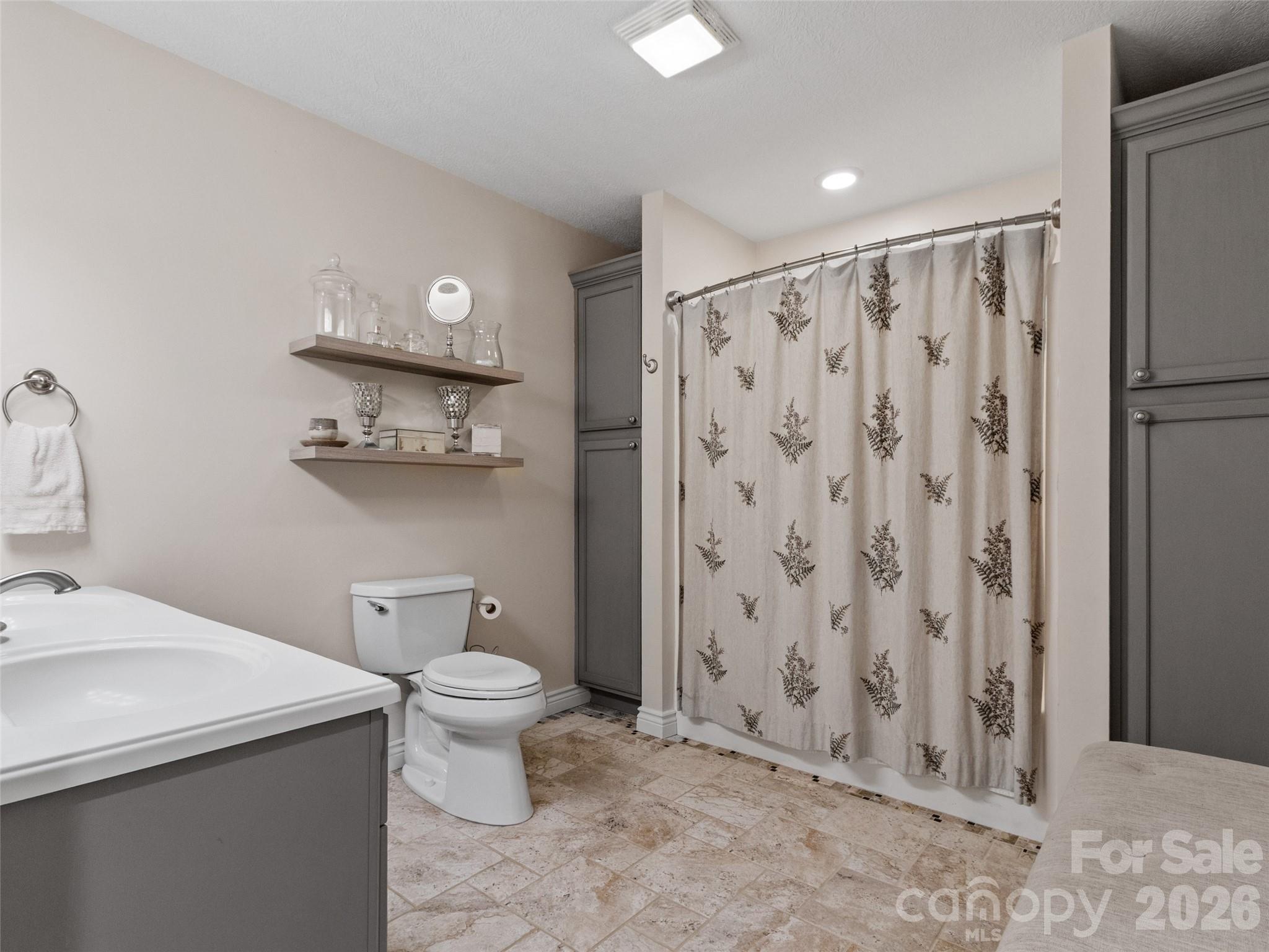 189 Poverty Branch Road Barnardsville, NC 28709 - Photo 23 of 48 a bathroom with a sink a toilet and shower curtain