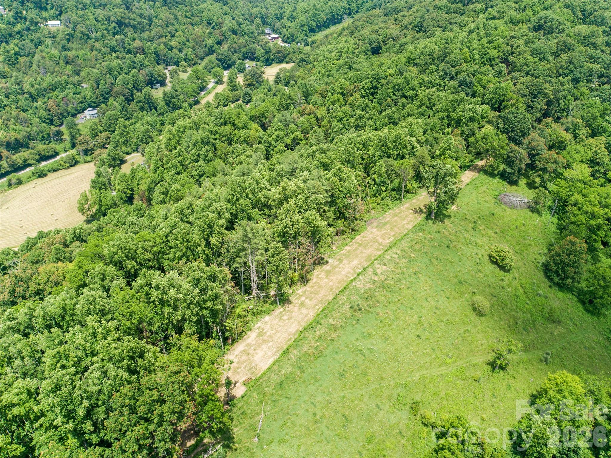 189 Poverty Branch Road Barnardsville, NC 28709 - Photo 47 of 48 a view of a large yard with plants and large trees