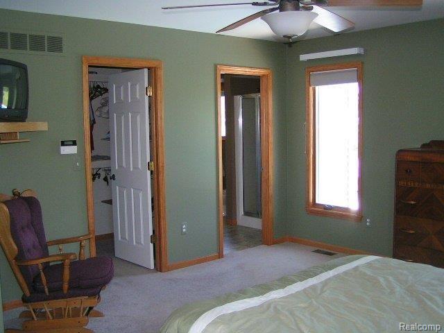 5317 Scotch Settlement Road Almont, MI 48003 - Photo 18 of 23 Scotch Settlement #18 Master