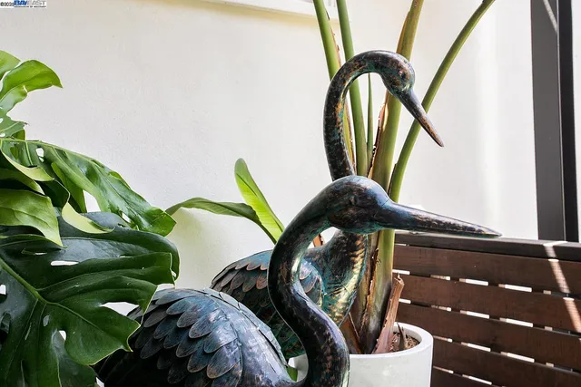 $8,250 | 6624 Saroni Drive, Oakland, CA 94611