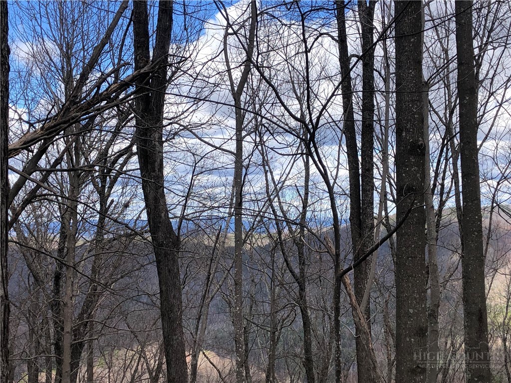Lot 21 Bobcat Mountain Road Purlear, NC 28665 - Photo 11 of 46