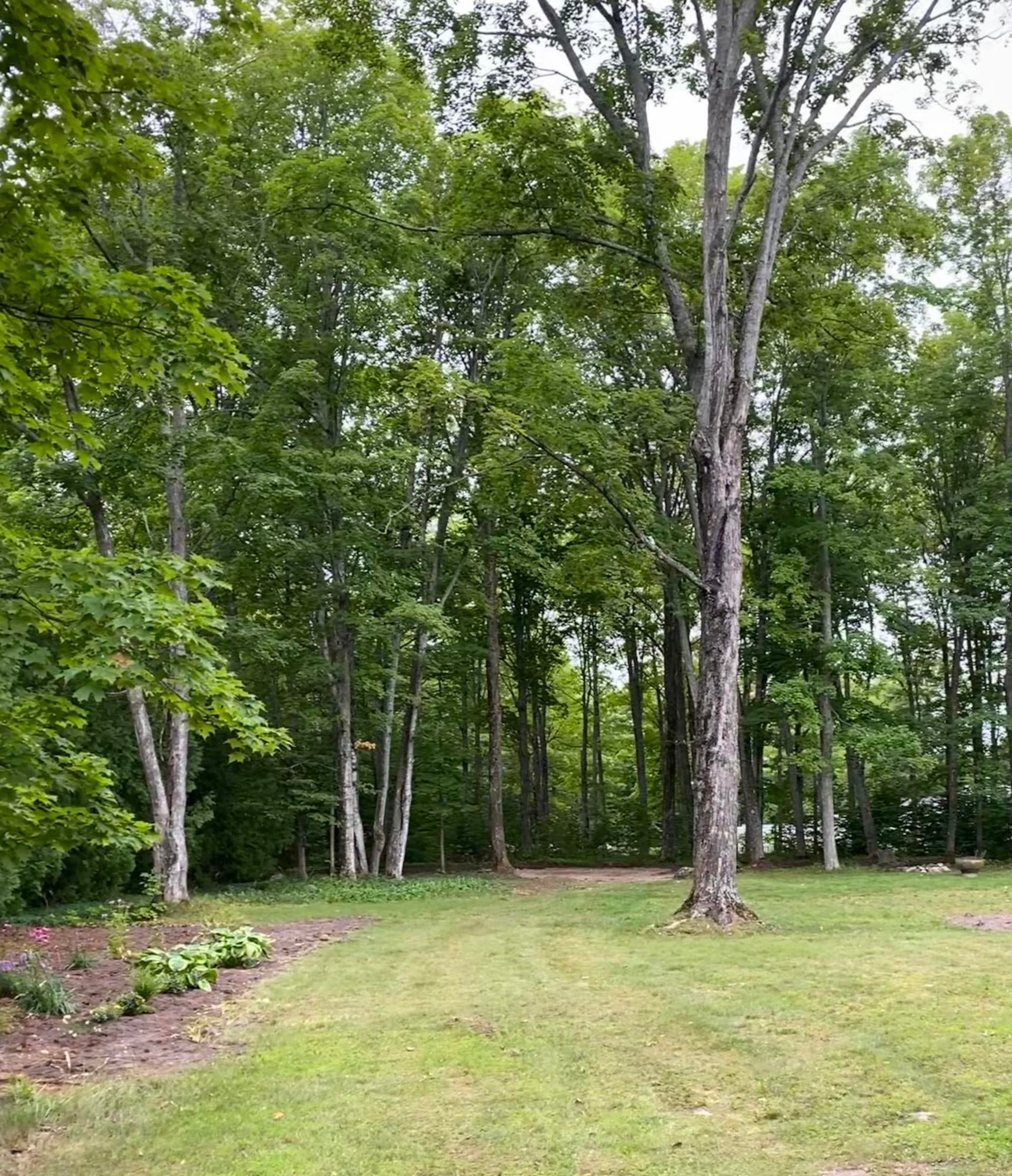 7990 Galbraith Road Cheboygan, MI 49721 - Photo 10 of 10 Gallery Image 10