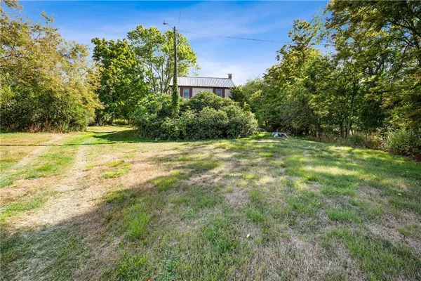 a view of a big yard with plants and large trees