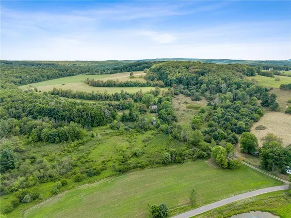 a view of a green field with lots of bushes