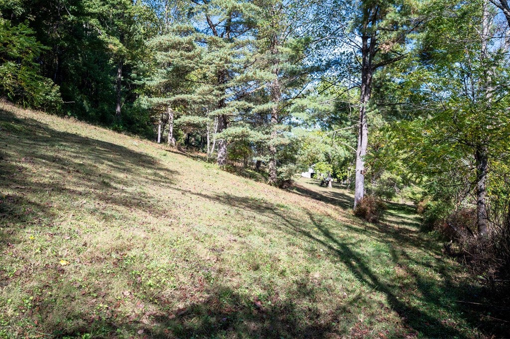 749 Knight Road Rural Retreat, VA 24368 - Photo 53 of 76 Gallery Image 53