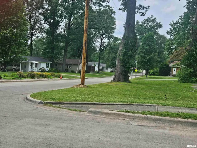 a park with lots of trees and plants