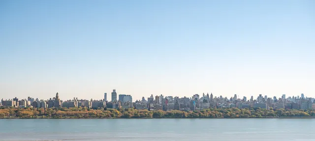 a view of a city with tall trees