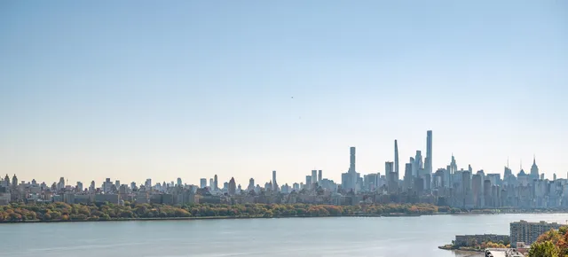 a view of a city with tall trees
