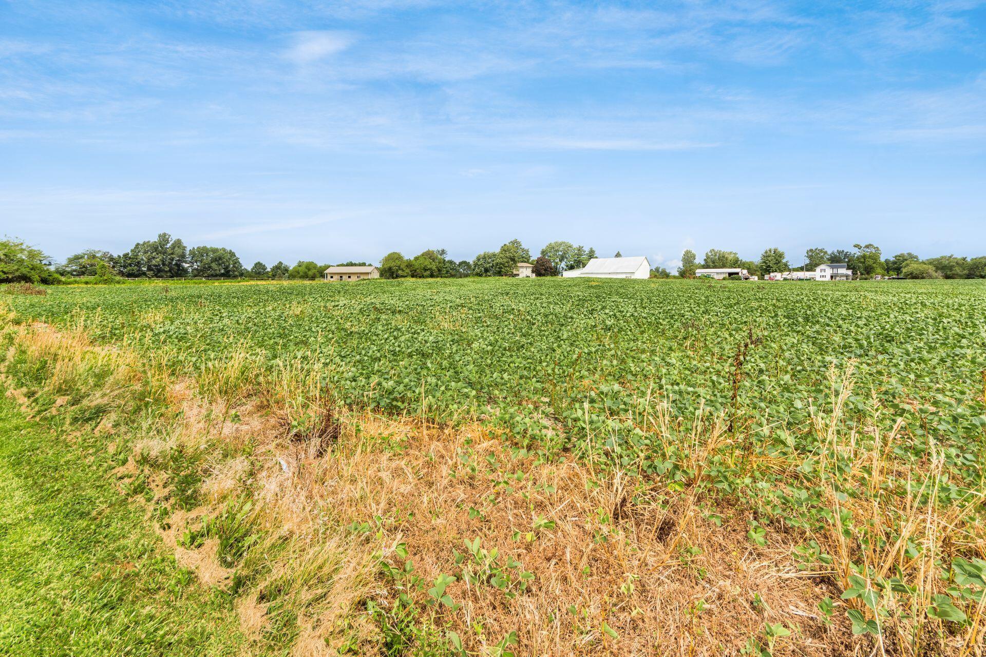 7667 Slocum Road Ostrander, OH 43061 - Photo 56 of 69 Field