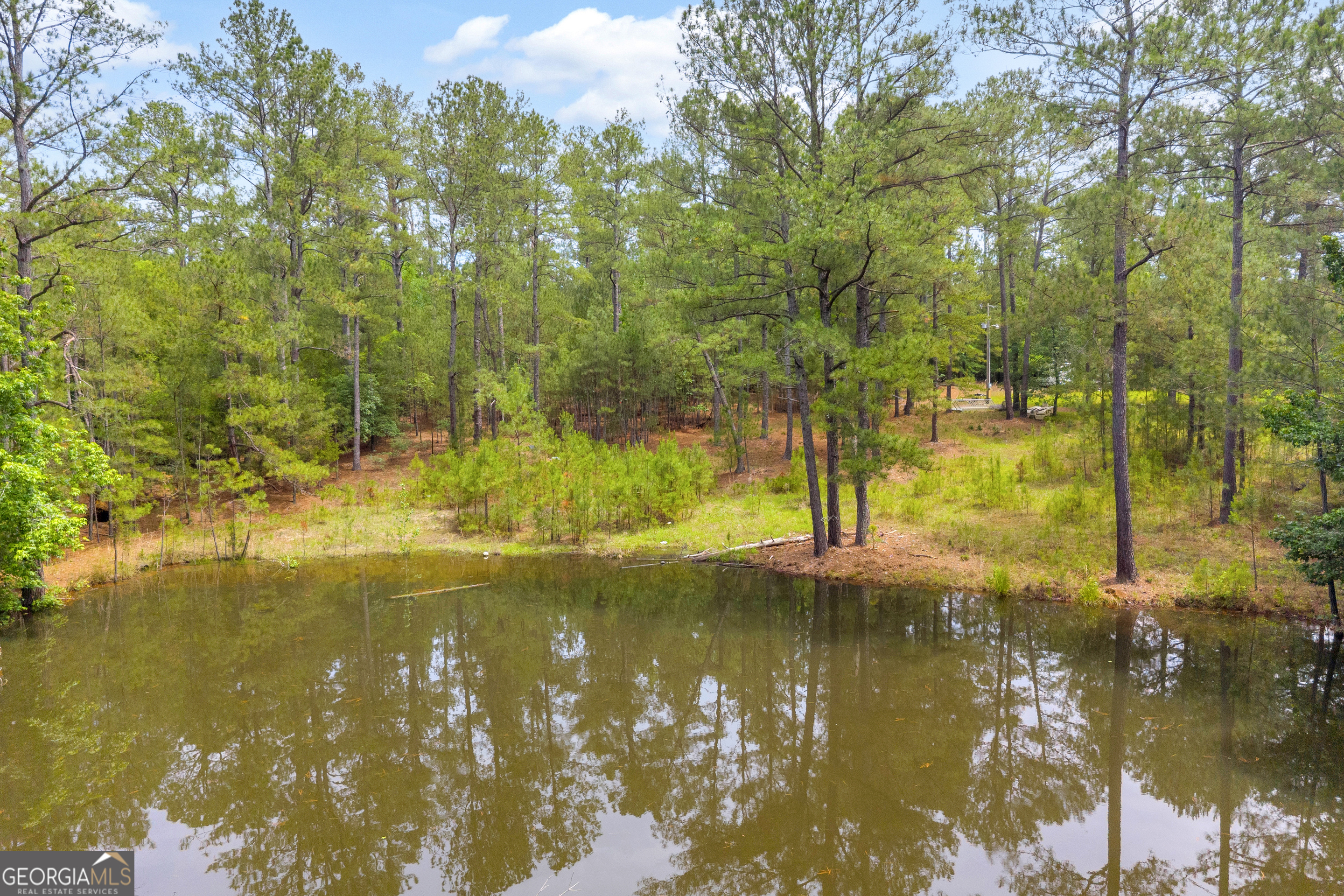 0 Clary Road Lincolnton, GA 30817 - Photo 11 of 16