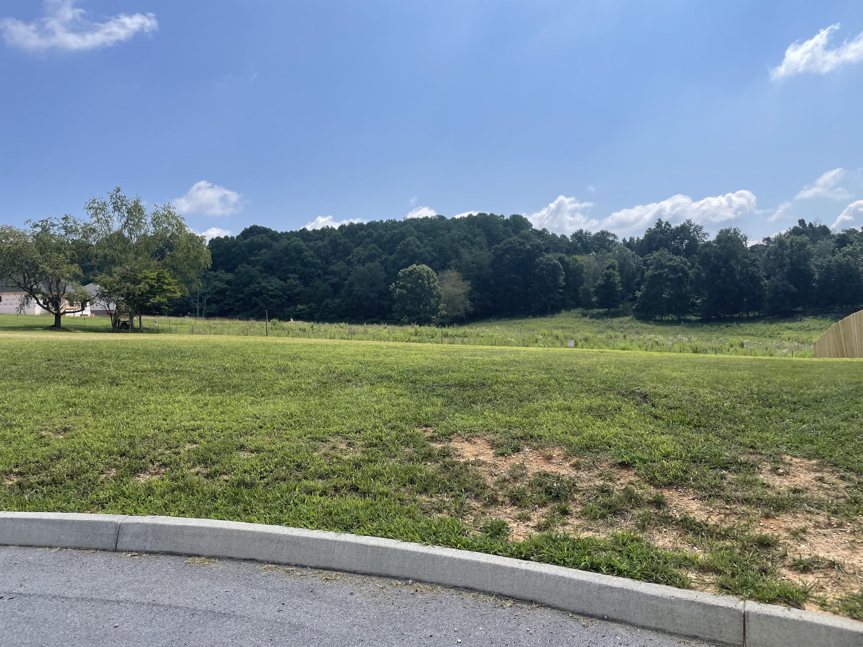 Lot 20 Rhett Way Jonesborough, TN 37659 - Photo 1 of 5 81F2B868-609B-4052-9EE5-30C931663BC9