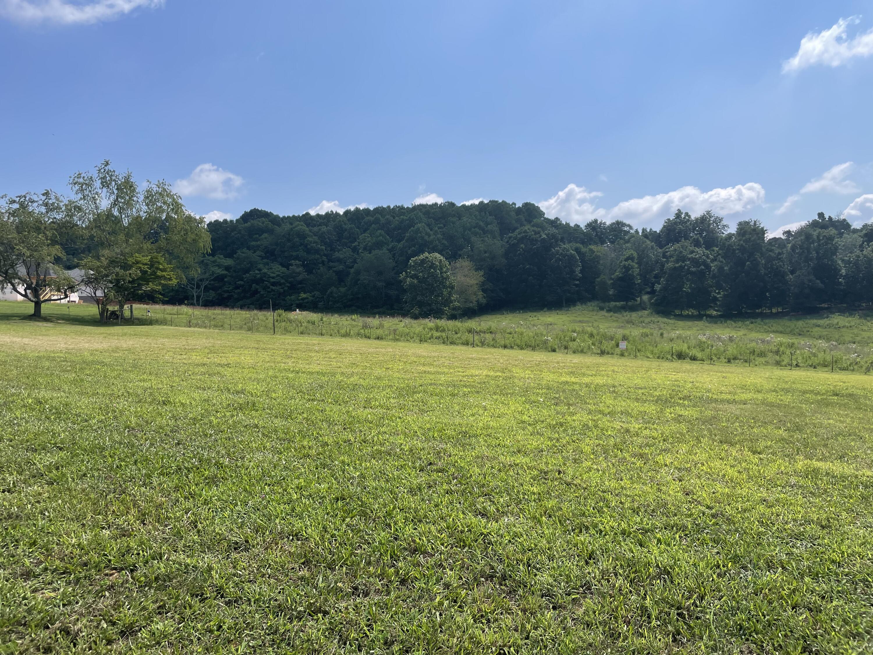 Lot 20 Rhett Way Jonesborough, TN 37659 - Photo 2 of 5 C3DD71C2-62A0-4161-9DDA-F80CD2A4CFD3