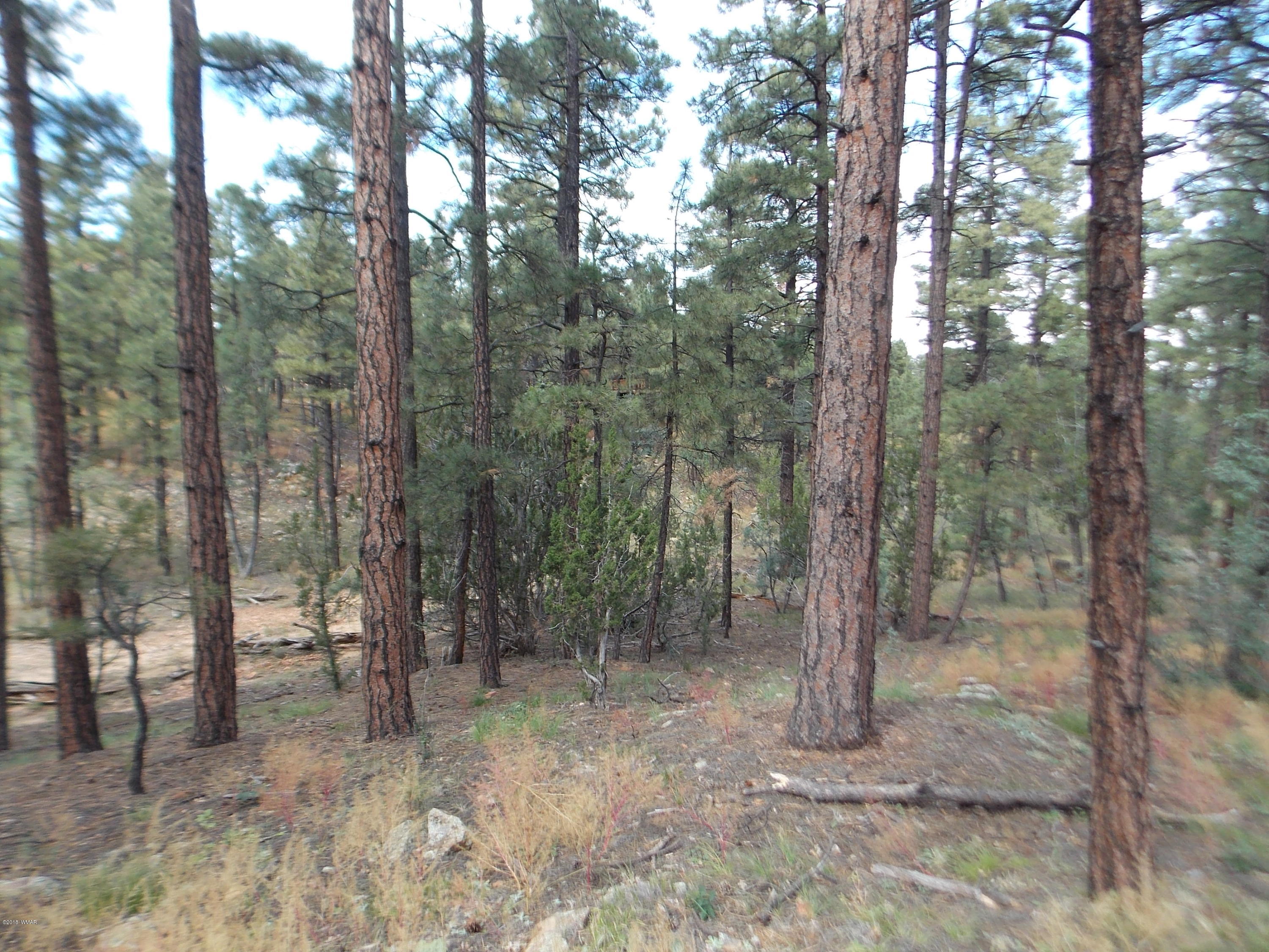 1518 Mainline Road Heber, AZ 85928 - Photo 11 of 15 Gallery Image 11