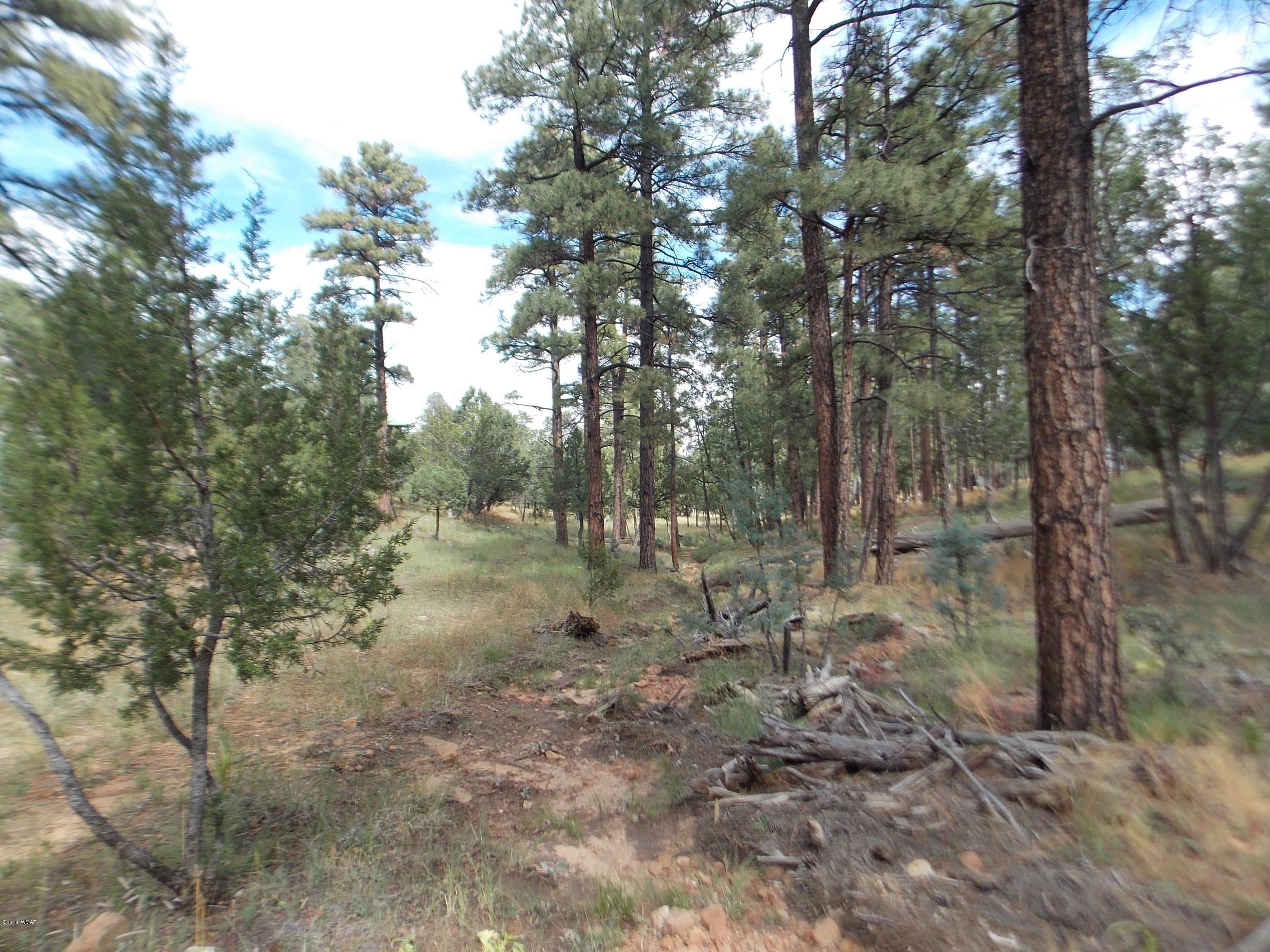 1518 Mainline Road Heber, AZ 85928 - Photo 14 of 15 Gallery Image 14