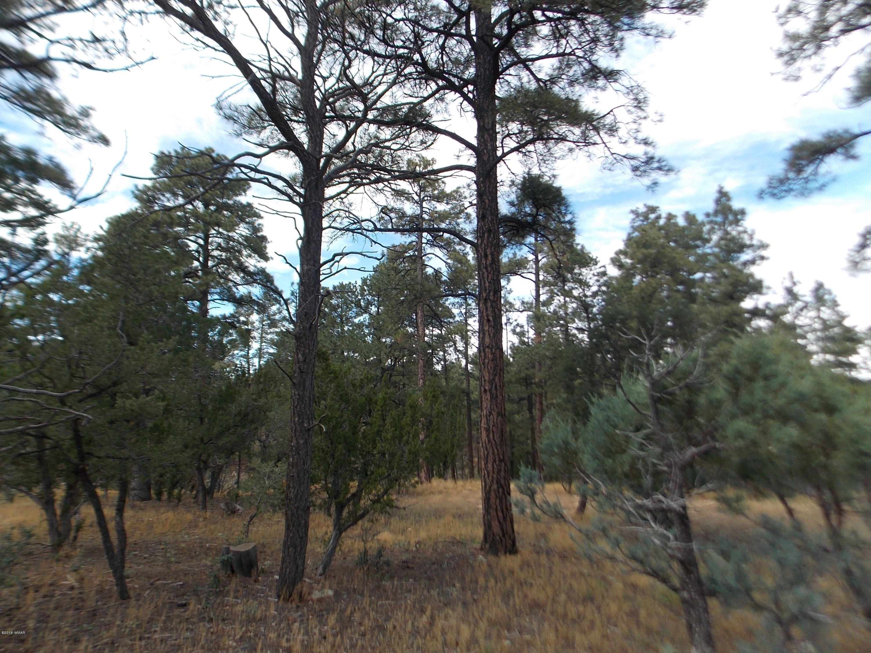 1518 Mainline Road Heber, AZ 85928 - Photo 6 of 15 Gallery Image 6