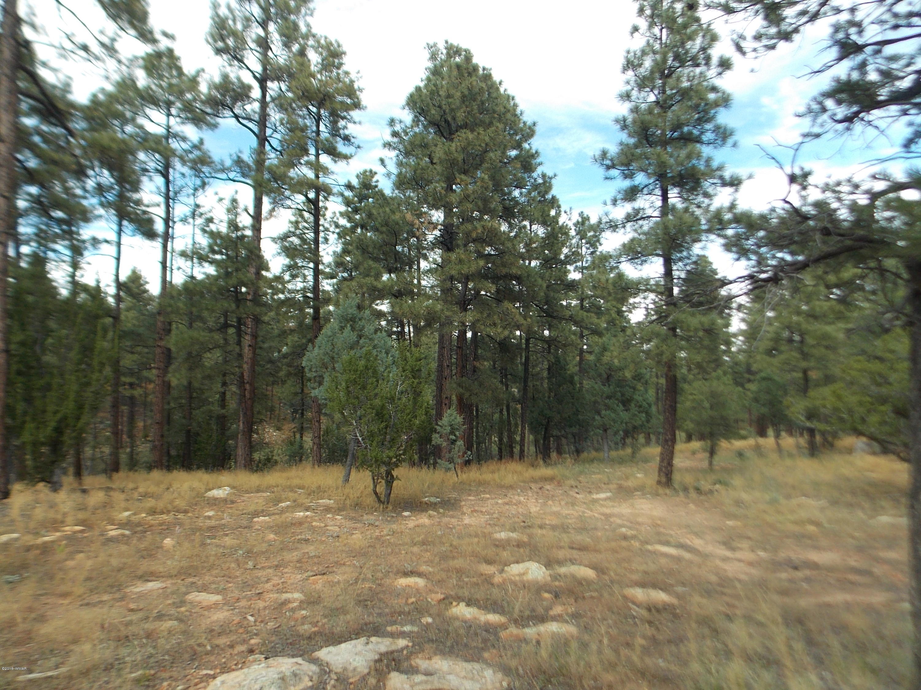 1518 Mainline Road Heber, AZ 85928 - Photo 8 of 15 Gallery Image 8