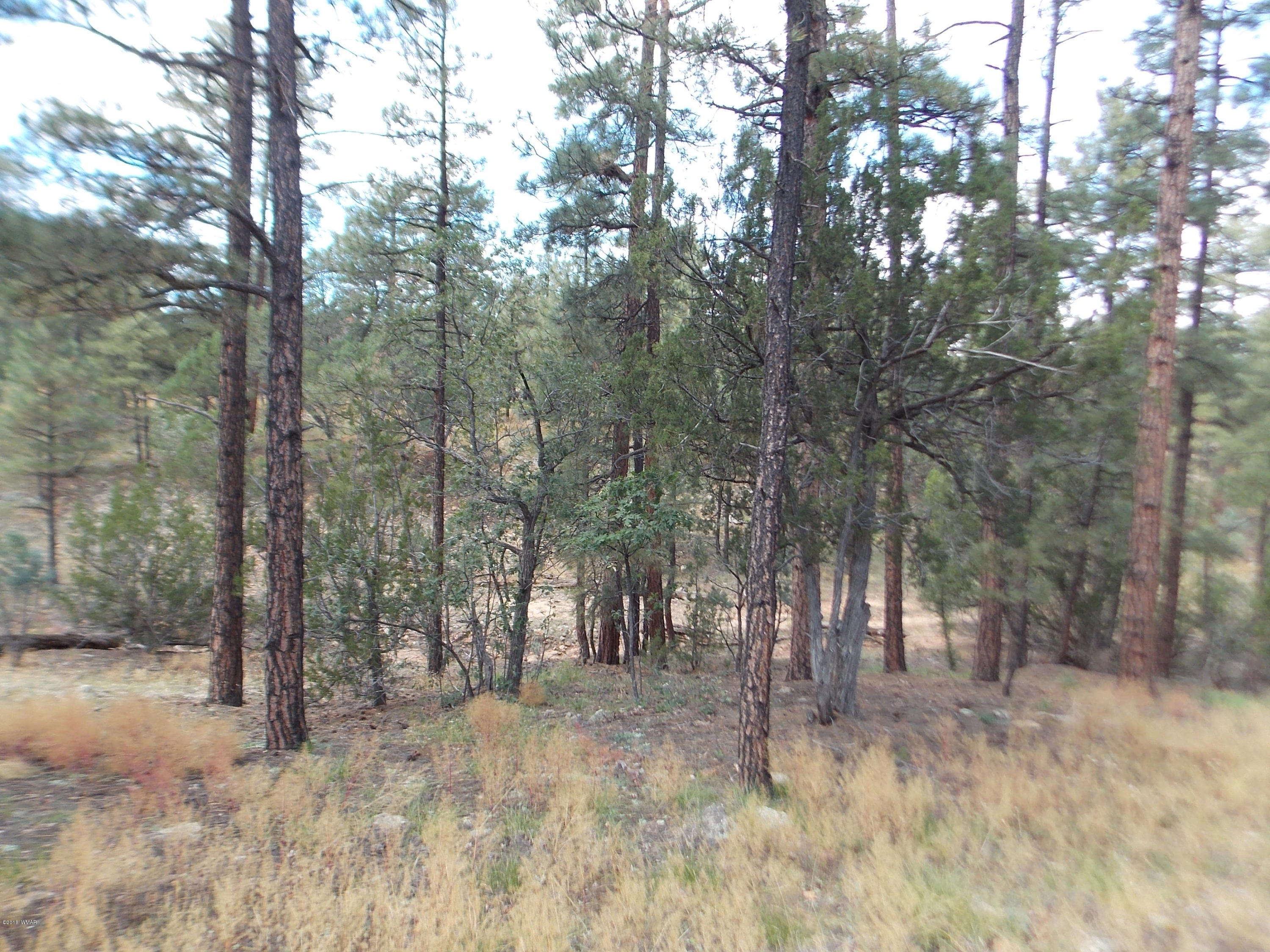 1518 Mainline Road Heber, AZ 85928 - Photo 9 of 15 Gallery Image 9