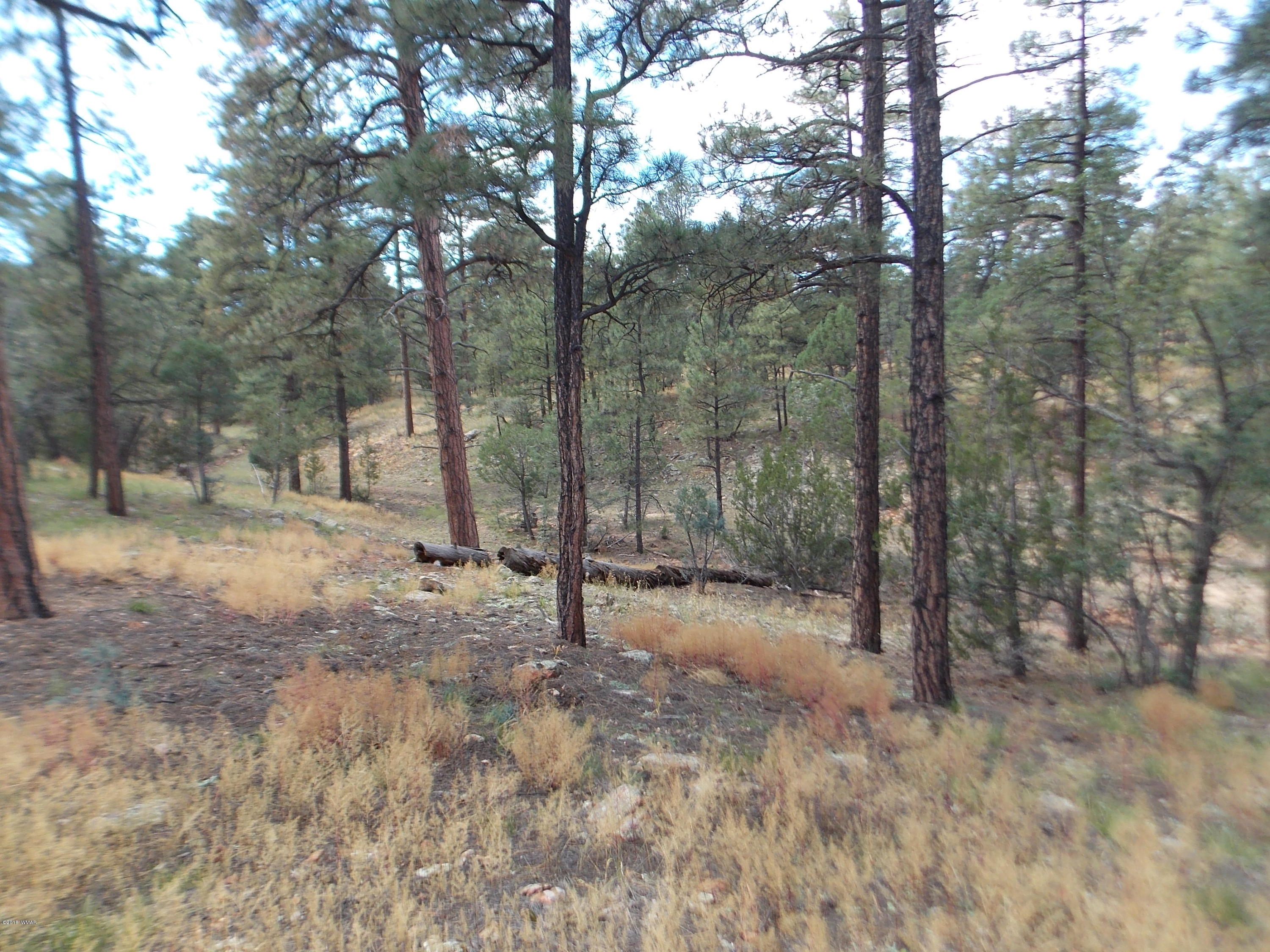 1518 Mainline Road Heber, AZ 85928 - Photo 10 of 15 Gallery Image 10
