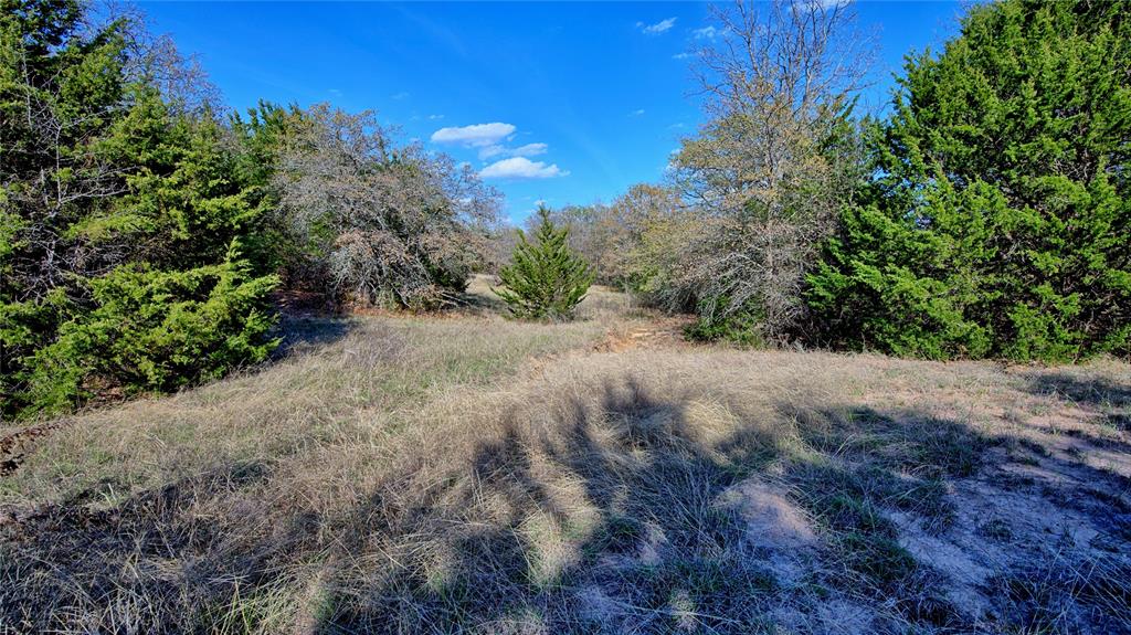 Tbd Cole Road Bowie, TX 76230 - Photo 17 of 27 a view of a dirt pathway both side of yard