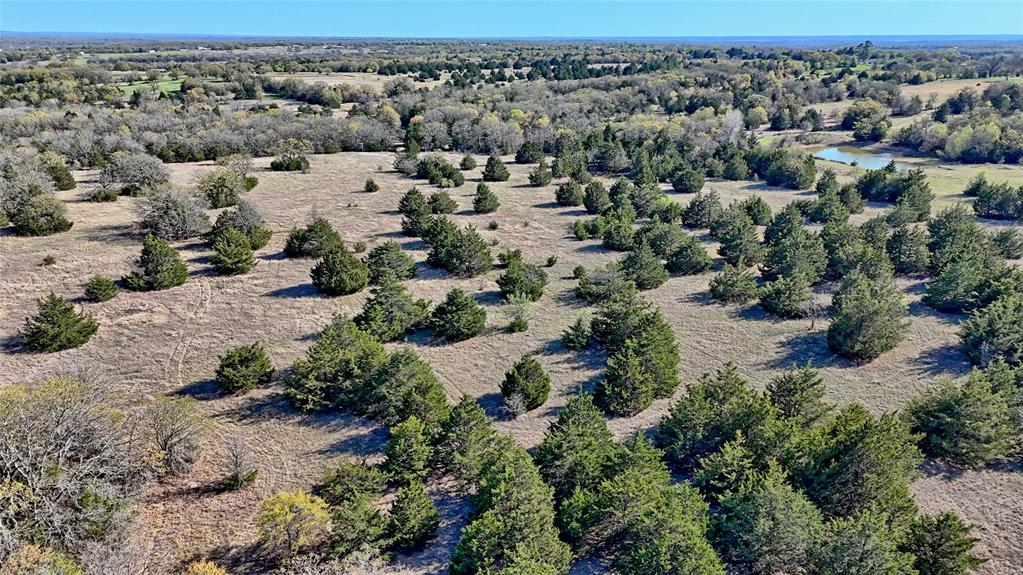 Tbd Cole Road Bowie, TX 76230 - Photo 21 of 27 an aerial view of a houses with a yard