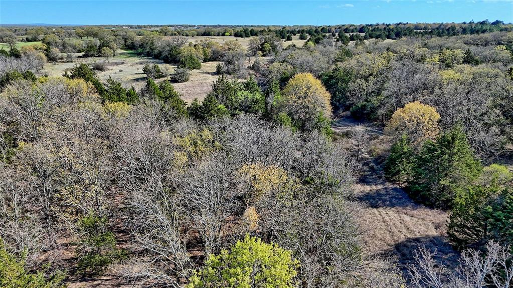 Tbd Cole Road Bowie, TX 76230 - Photo 3 of 27 a view of a forest with trees in the background