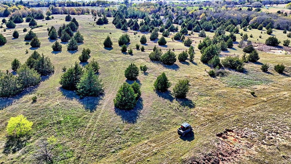 Tbd Cole Road Bowie, TX 76230 - Photo 6 of 27