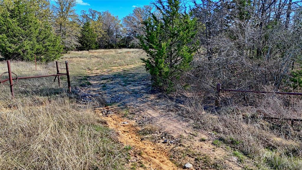 Tbd Cole Road Bowie, TX 76230 - Photo 7 of 27 a view of backyard with green space