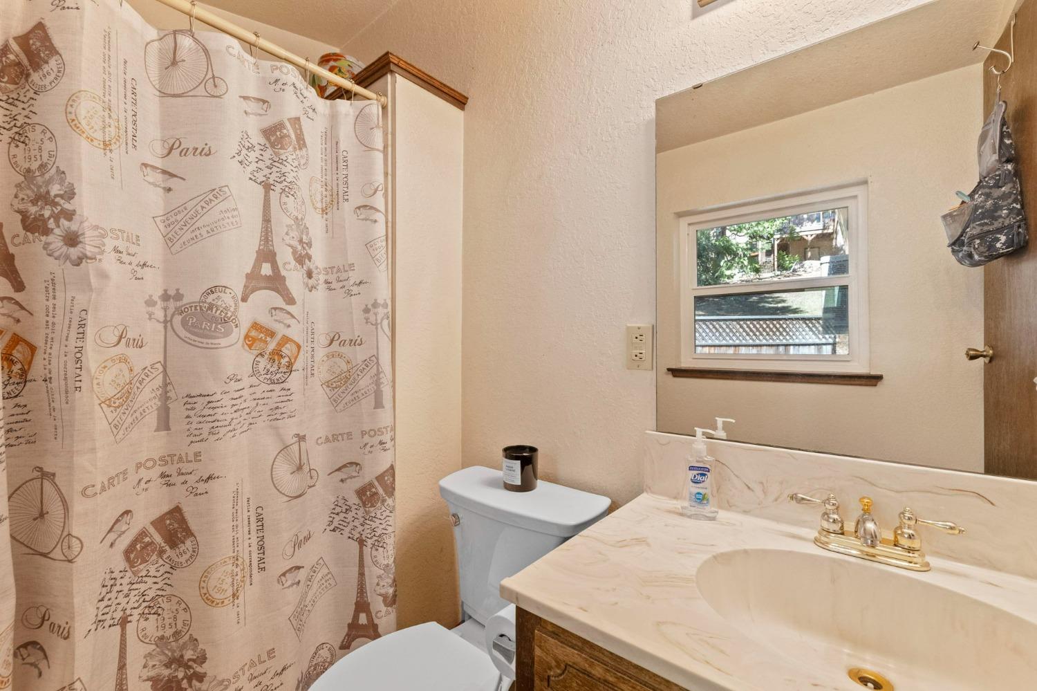24014 Pine Cone Road Twain Harte, CA 95383 - Photo 11 of 43 a bathroom with a sink and mirror with toilet
