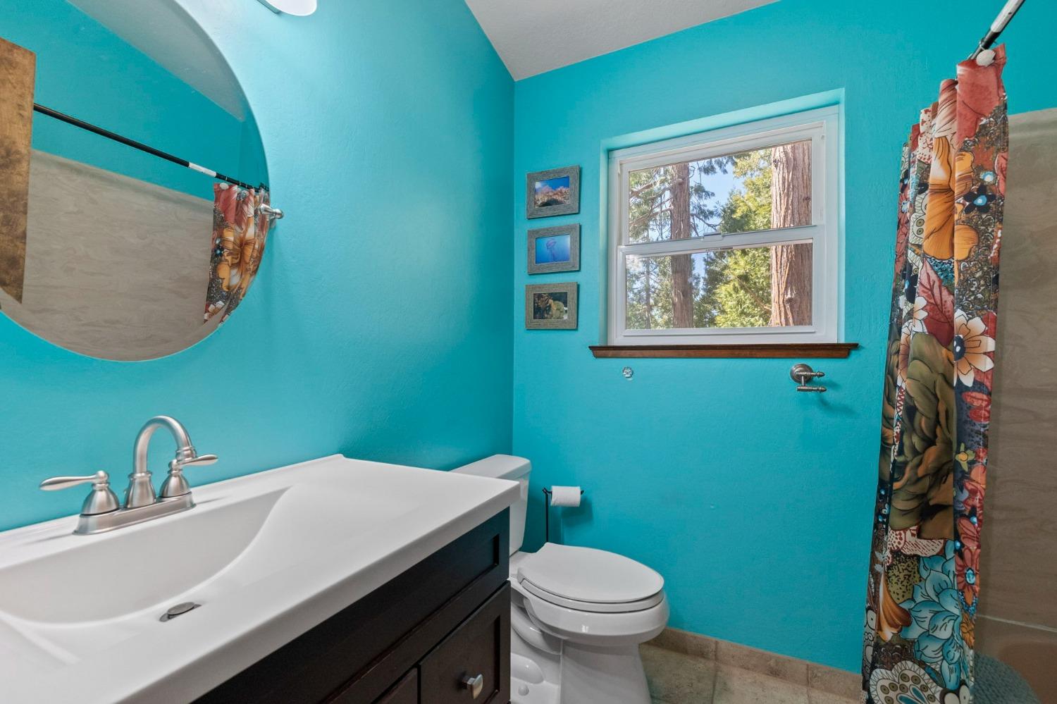 24014 Pine Cone Road Twain Harte, CA 95383 - Photo 22 of 43 a bathroom with a sink and a mirror