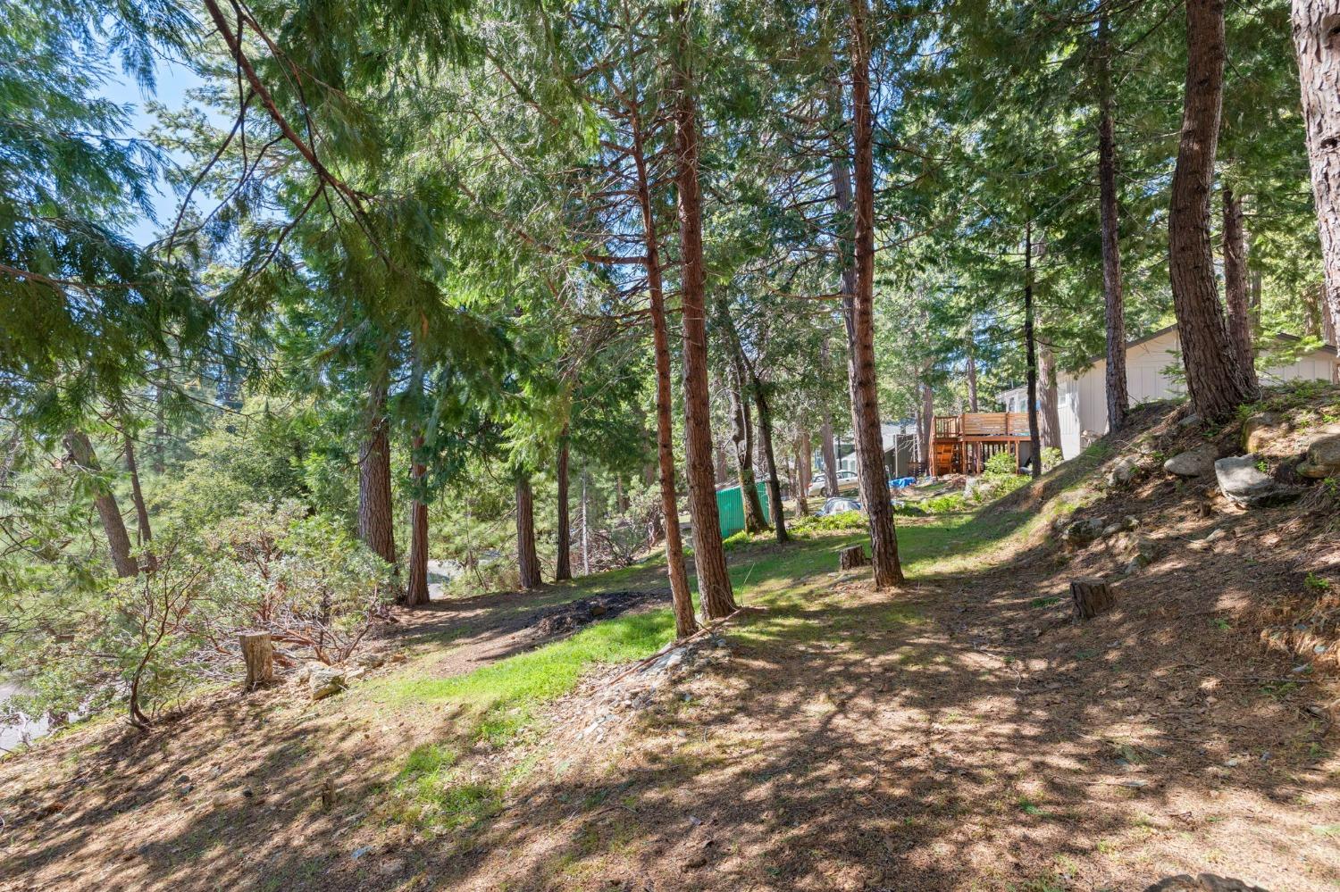 24014 Pine Cone Road Twain Harte, CA 95383 - Photo 33 of 43 a backyard of a house with lots of green space