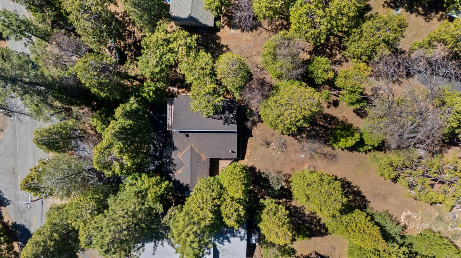 24014 Pine Cone Road Twain Harte, CA 95383 - Photo 37 of 43 a plant that is in a garden